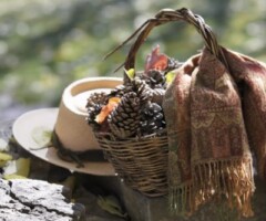 Buetas HOTEL CASA DE SAN MARTÍN San Martín de La Solana – Huesca – Pirineo Aragonés – España